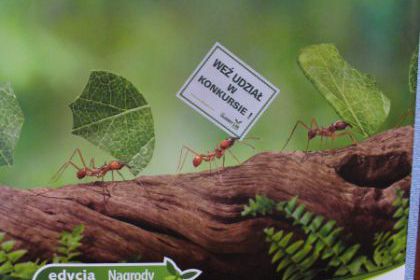 SPOTKANIE ENTUZJASTÓW NAUK PRZYRODNICZYCH 