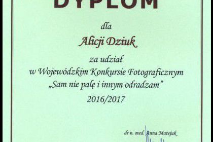 IX Gala Wojewózkiego Konkursu Fotograficznego pt. \