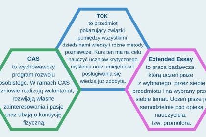 IB - prezentacja 