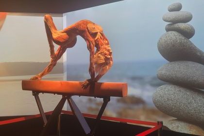 Wystawa Body Worlds w Katowicach 