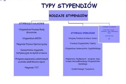 Programy stypendialne 