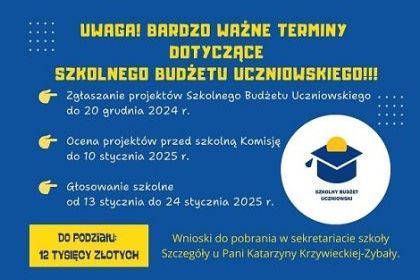 Szkolny Budżet Uczniowski 2025