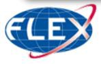 FLEX (FutureLeaders Exchange)