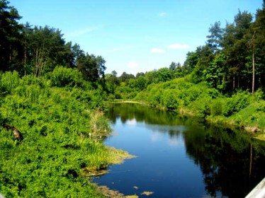 Wycieczka do Biebrzańskiego Parku Narodowego