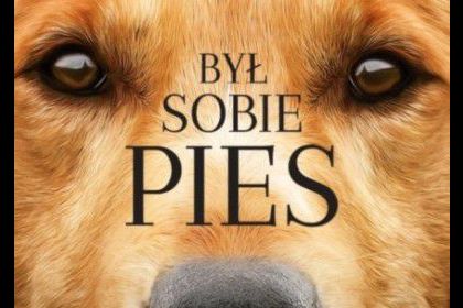 Kolejne książki w ramach Narodowego Programu Rozwoju Czytelnictwa dostępne w bibliotece - 8 