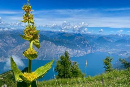 ALPEJSKA TRASA MŁODYCH ODKRYWC&Oacute;W 