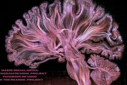 ZWOLNIENI Z TEORII - Projekt ReMind 