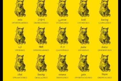 Narodowy Program Rozwoju Czytelnictwa 2.0 już dostępne w bibliotece -9 