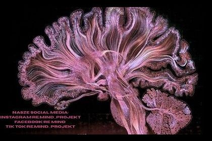 ZWOLNIENI Z TEORII - Projekt ReMind